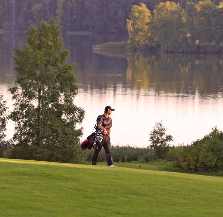 Aihe: Kotojärvi Golf Oy:n eväät syöty? 