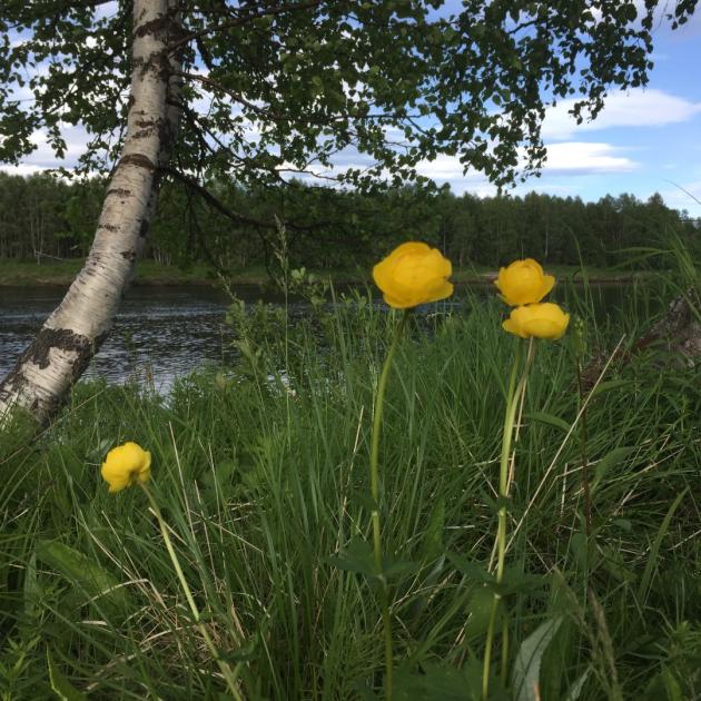 Tämän pörssi-ilmoituksen 3. kuva
