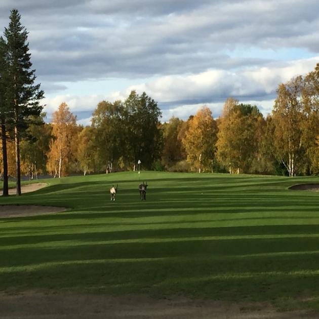 Tämän pörssi-ilmoituksen 7. kuva