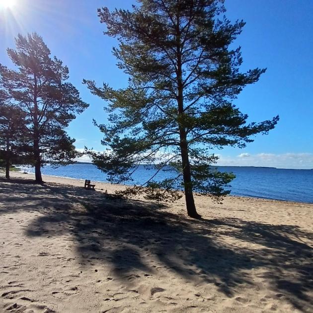 Tämän pörssi-ilmoituksen 3. kuva